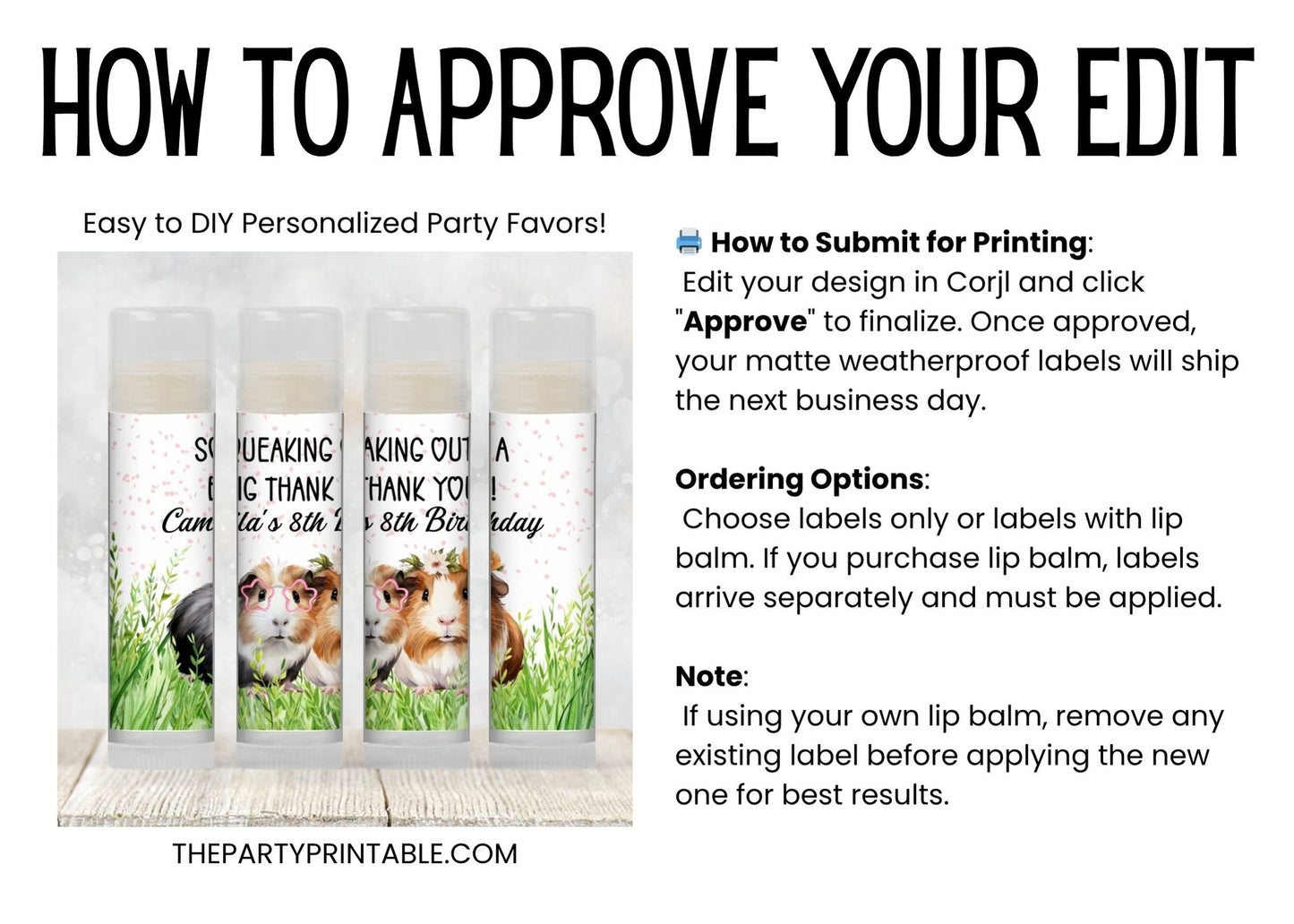 Guinea Pig Birthday Party Favors Lip Balm PRINTED Label or Lip Balm Favor | Animal Theme Gift for Girl Pet Kids Party Chapstick Sticker 8013